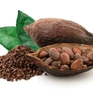 Cacao Ceremonie