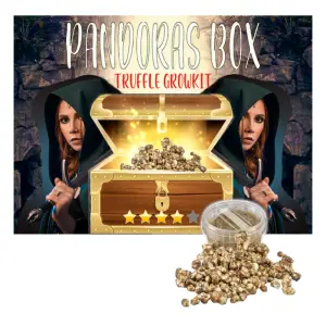 Microdosing Truffels Kopen